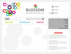 Blossom030 website