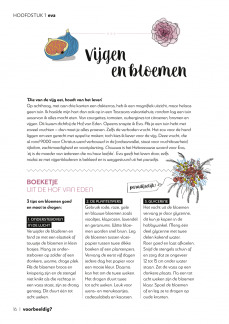 Voorbeeldig pag16